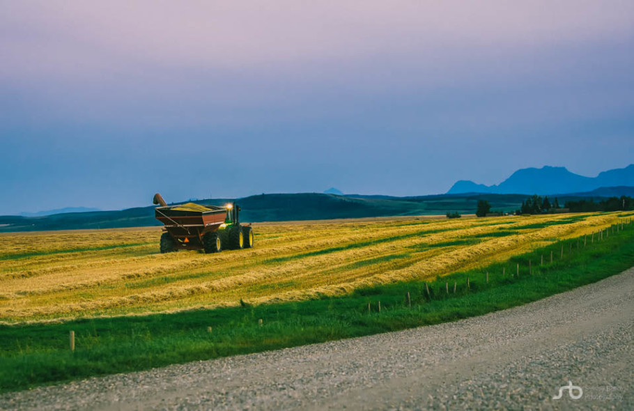Chasing Crops »» Alberta Agriculture Photography